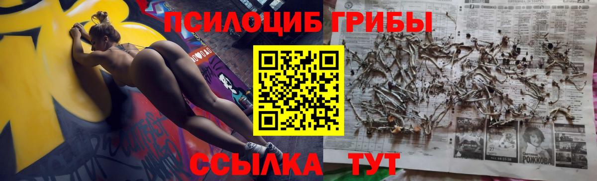 Галлюциногенные грибы MAGIC MUSHROOMS  Вход с VPN  Моздок  Псилоцибиновые грибы MAGIC MUSHROOMS 